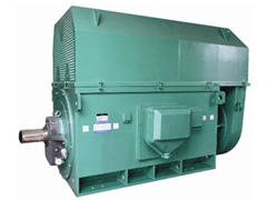 安化Y系列6KV高压电机